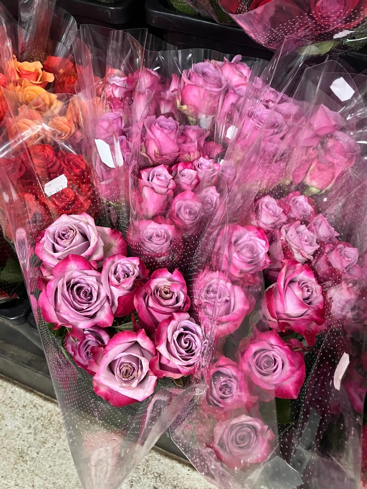 ROSES