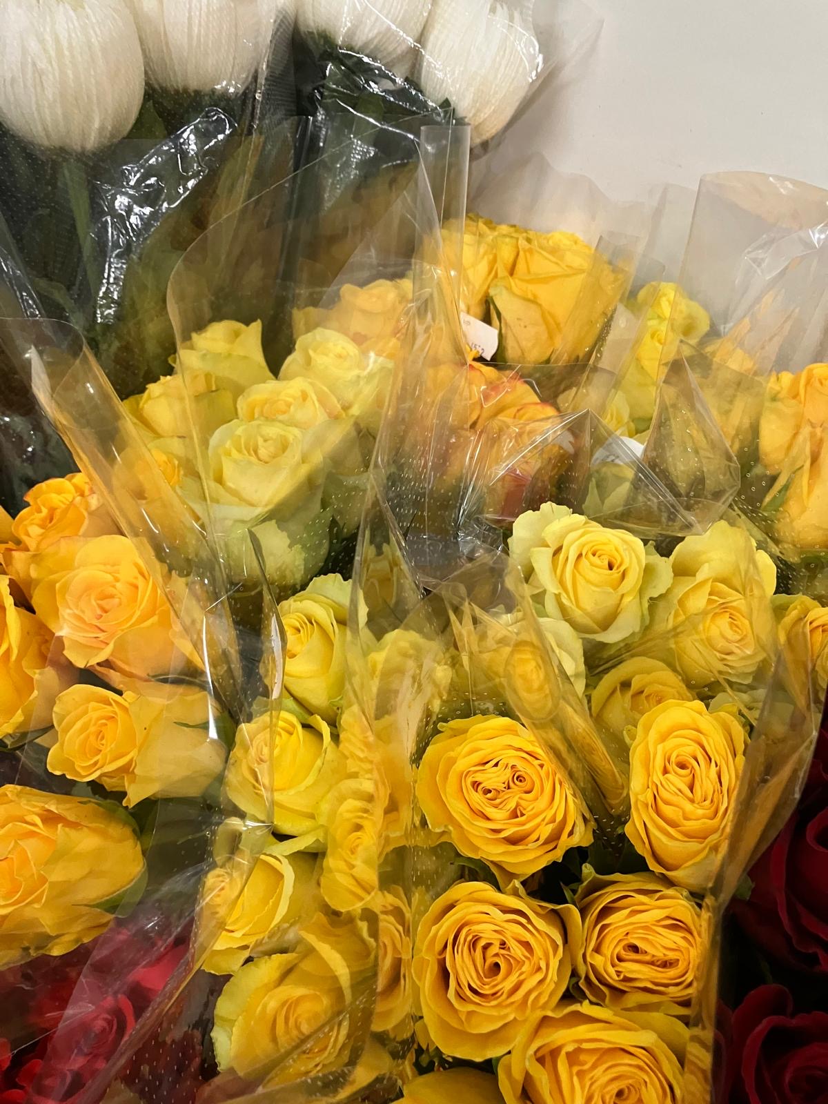 ROSES