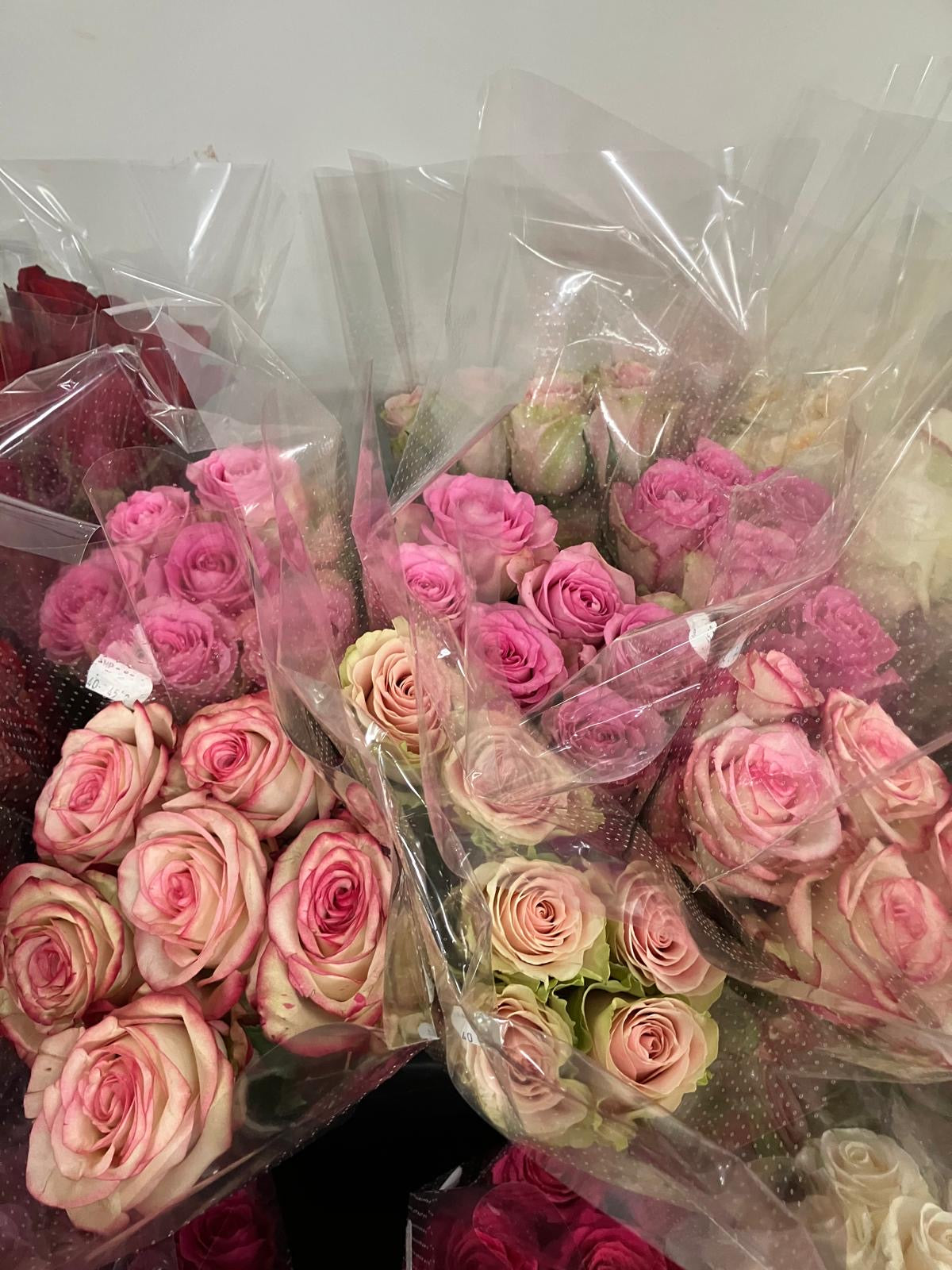 ROSES